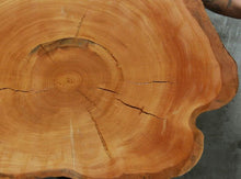 Load image into Gallery viewer, Douglas Fir Cookie
