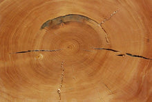 Load image into Gallery viewer, Douglas Fir Cookie

