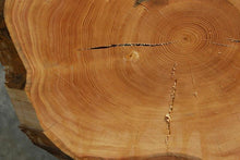 Load image into Gallery viewer, Douglas Fir Cookie
