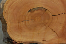 Load image into Gallery viewer, Douglas Fir Cookie
