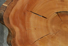 Load image into Gallery viewer, Douglas Fir Cookie
