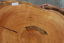 Load image into Gallery viewer, Douglas Fir Cookie
