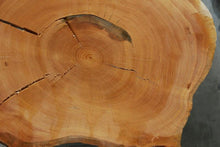 Load image into Gallery viewer, Douglas Fir Cookie
