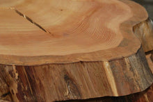 Load image into Gallery viewer, Douglas Fir Cookie
