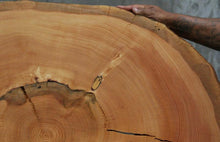 Load image into Gallery viewer, Douglas Fir Cookie

