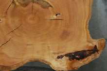 Load image into Gallery viewer, Douglas Fir Cookie
