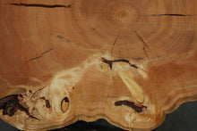 Load image into Gallery viewer, Douglas Fir Cookie
