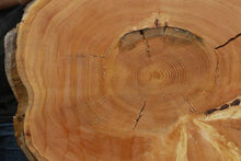 Load image into Gallery viewer, Douglas Fir Cookie
