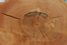 Load image into Gallery viewer, Douglas Fir Cookie
