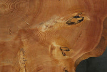 Load image into Gallery viewer, Douglas Fir Cookie
