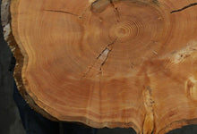 Load image into Gallery viewer, Douglas Fir Cookie
