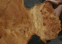 Load image into Gallery viewer, Douglas Fir Cookie
