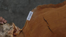 Load image into Gallery viewer, Douglas Fir Cookie
