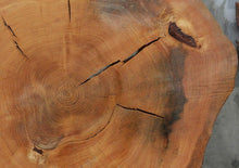 Load image into Gallery viewer, Douglas Fir Cookie
