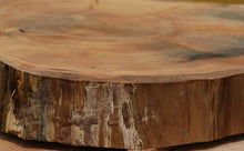 Load image into Gallery viewer, Douglas Fir Cookie
