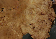 Load image into Gallery viewer, Douglas Fir Cookie
