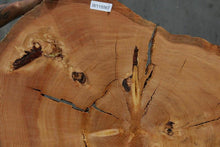 Load image into Gallery viewer, Douglas Fir Cookie

