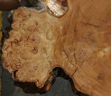 Load image into Gallery viewer, Douglas Fir Cookie
