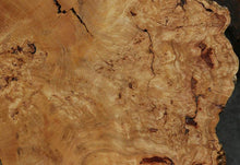 Load image into Gallery viewer, Douglas Fir Cookie
