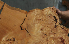 Load image into Gallery viewer, Douglas Fir Cookie
