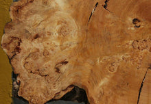 Load image into Gallery viewer, Douglas Fir Cookie
