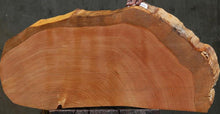 Load image into Gallery viewer, Douglas Fir Half Cookie
