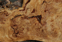 Load image into Gallery viewer, Douglas Fir Burl Half Cookie
