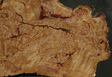 Load image into Gallery viewer, Douglas Fir Burl Half Cookie
