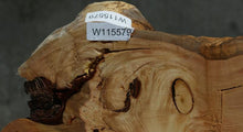 Load image into Gallery viewer, Douglas Fir Half Cookie
