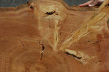 Load image into Gallery viewer, Douglas Fir Half Cookie
