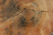 Load image into Gallery viewer, Douglas Fir Cookie
