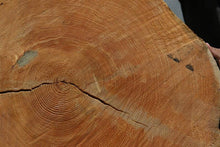 Load image into Gallery viewer, Douglas Fir Cookie

