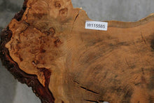 Load image into Gallery viewer, Douglas Fir Cookie
