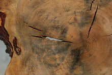 Load image into Gallery viewer, Douglas Fir Cookie
