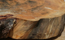 Load image into Gallery viewer, Douglas Fir Cookie
