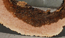 Load image into Gallery viewer, Heart Maple Burl Slab
