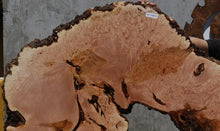 Load image into Gallery viewer, Heart Maple Burl Slab
