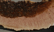Load image into Gallery viewer, Heart Maple Burl Slab
