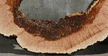 Load image into Gallery viewer, Heart Maple Burl Slab
