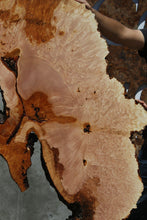 Load image into Gallery viewer, Heart Maple Burl Slab
