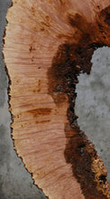 Load image into Gallery viewer, Heart Maple Burl Slab

