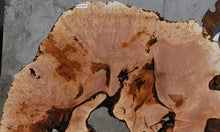Load image into Gallery viewer, Heart Maple Burl Slab
