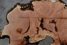 Load image into Gallery viewer, Heart Maple Burl Slab
