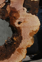 Load image into Gallery viewer, Heart Maple Burl Slab
