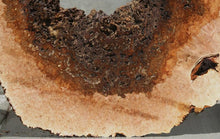 Load image into Gallery viewer, Heart Maple Burl Slab
