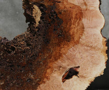 Load image into Gallery viewer, Heart Maple Burl Slab

