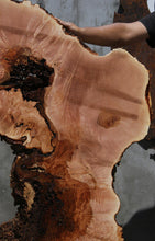 Load image into Gallery viewer, Heart Maple Burl Slab
