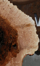 Load image into Gallery viewer, Heart Maple Burl Cookie
