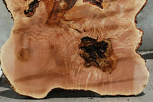 Load image into Gallery viewer, Heart Maple Burl Cookie
