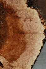 Load image into Gallery viewer, Heart Maple Burl Cookie
